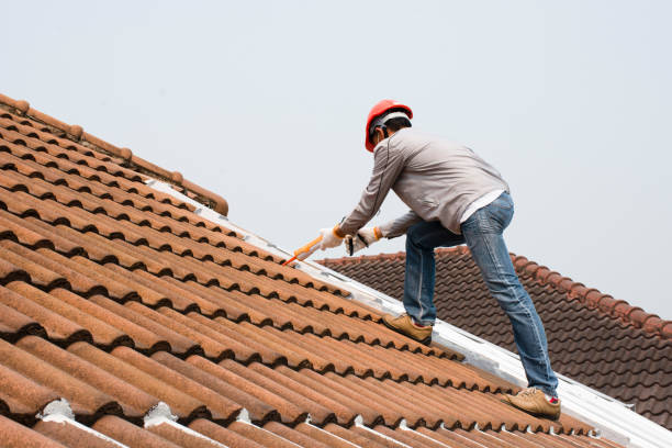 Best Commercial Roofing Services  in Roseville, MN