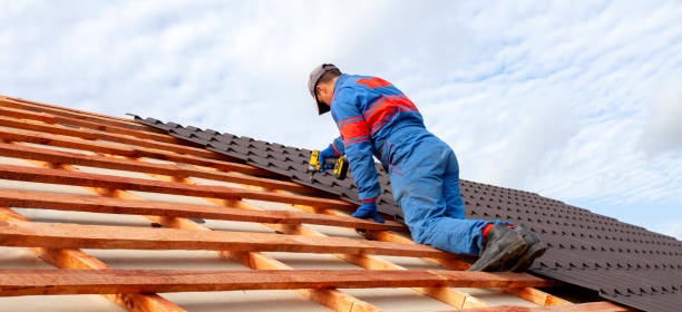 Best Metal Roofing Installation  in Roseville, MN