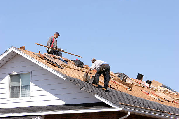 Best Roof Ventilation Installation  in Roseville, MN