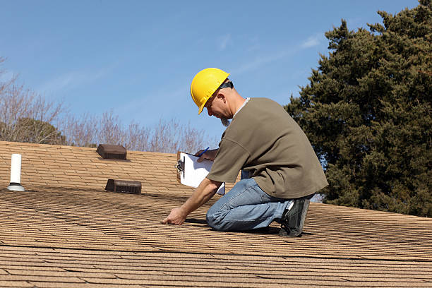Best Solar Panel Roofing Installation  in Roseville, MN